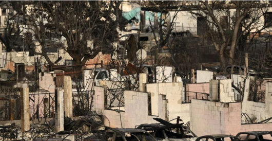 Hawaii’s Green Agenda — And Questionable Decisions — Primed The State For One Of The Deadliest Wildfires In History by Daily Caller News Foundation