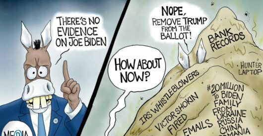 Cartoon of the Day: Piles of Denial by A. F. Branco