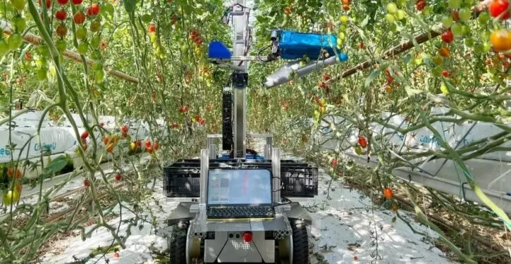 Crop-spraying robot saves farmers time, cuts emissions of greenhouse gases