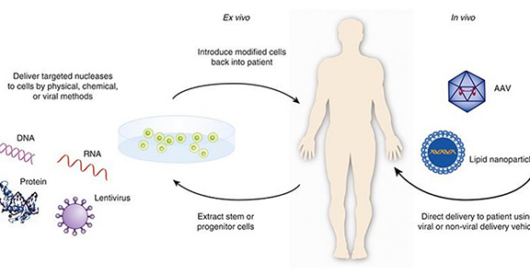 Gene Therapy May Cure Sickle Cell Anemia by LU Staff