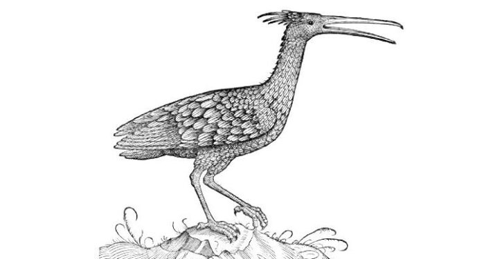 Bird extinct in Europe has made a comeback