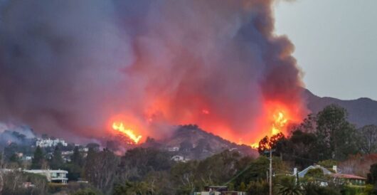 Gay Choirs, Trans Cafes And Social Justice Art: What LA Spent Money On While Cutting Its Fire Budget by Daily Caller News Foundation
