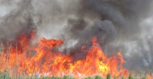 Some California environmental laws encouraged fire-prone development, making fires more destructive by Hans Bader