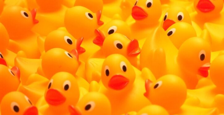 Rubber Duck Museum moves to Canada in response to tariff hikes and U.S.-Canada tensions