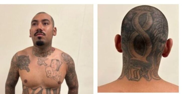 ICE Nabs Rapists, Child Predators, Gang Members In Deportation Blitz
