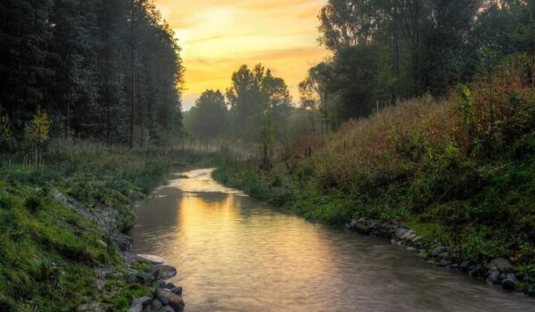 Sludge-filled river becomes thriving ecosystem by Hans Bader
