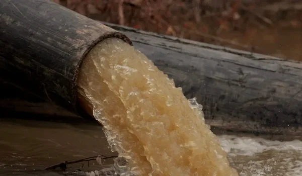 DC Water’s CEO Oversaw $520 Million In DEI Contracts — And The Biggest Sewage Spill In US History by Daily Caller News Foundation